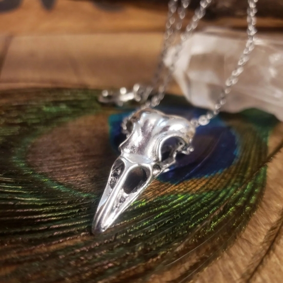 Pagan Raven Skull Necklace & Earrings Jewelry Set Horror Witchy Viking Jewelry - Picture 13 of 16